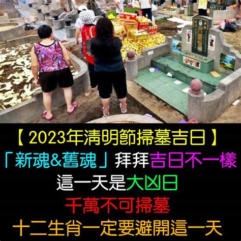 2023年掃墓吉日|2023年清明節掃墓吉日吉時曝光！命理師一篇文揭哪些日子不能。